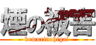 煙の被害 (kemurinohigai)