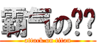 霸气の纯洁 (attack on titan)