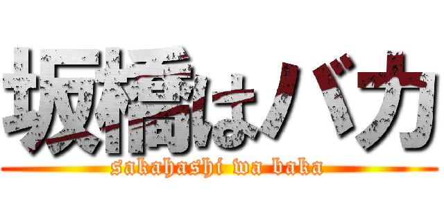 坂橋はバカ (sakahashi wa baka)