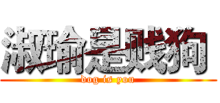 淑瑜是贱狗  (dog is you)