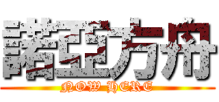 諾亞方舟 (NOW HERE)