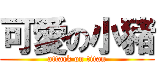 可愛の小豬 (attack on titan)