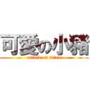 可愛の小豬 (attack on titan)