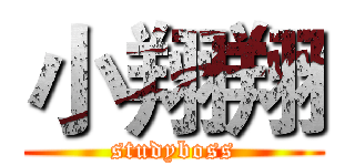 小翔翔 (studyboss)