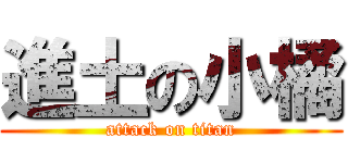 進土の小橘 (attack on titan)