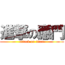 進撃の應門 (attack on titan)