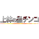 上林の黒チンコ (attack on titan)