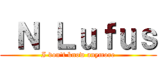  Ｎ Ｌｕｆｕｓ (I don\'t know anymore)
