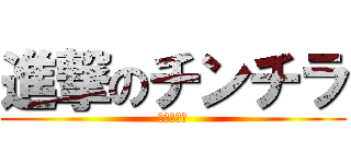 進撃のチンチラ (進撃の巨貓)