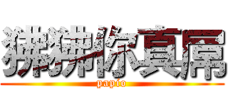 狒狒你真屌 (papio)