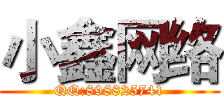 小鑫网络 (QQ:898825741)