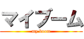 マイブーム (my boom)