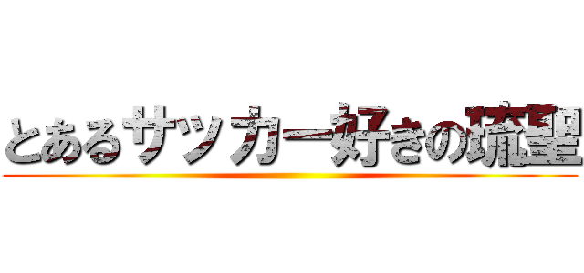とあるサッカー好きの琉聖 ()