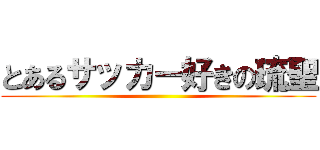 とあるサッカー好きの琉聖 ()