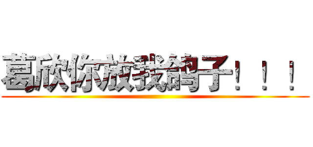 葛欣你放我鸽子！！！ ()