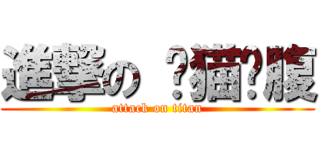 進撃の 懒猫❤腹 (attack on titan)