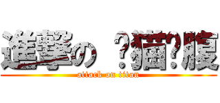 進撃の 懒猫❤腹 (attack on titan)