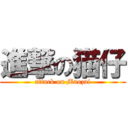 進撃の猫仔 (attack on Maozai)