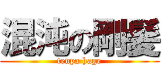 混沌の剛髪 (tenpa hage)