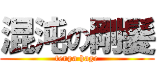 混沌の剛髪 (tenpa hage)