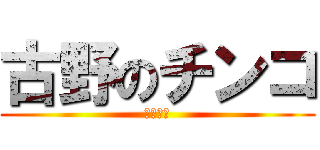 古野のチンコ (ちんちん)