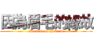 因為眉毛的緣故 (Because of eyebrow)
