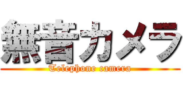 無音カメラ (Telephone camera)