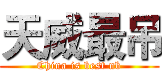 天威最吊 (China is best nb)