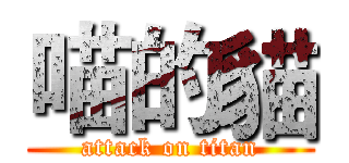 喵的貓 (attack on titan)