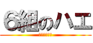 ６組のハエ (ぶーんぶーん)