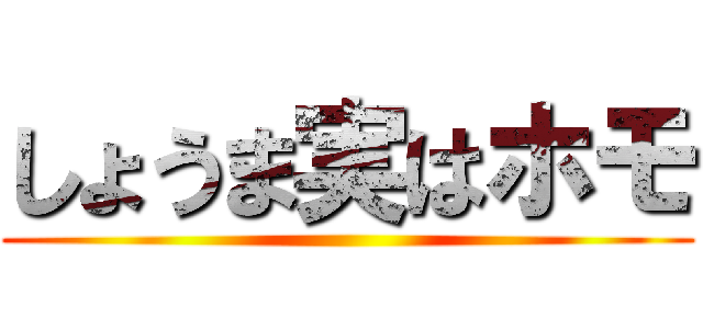 しょうま実はホモ ()