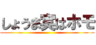 しょうま実はホモ ()