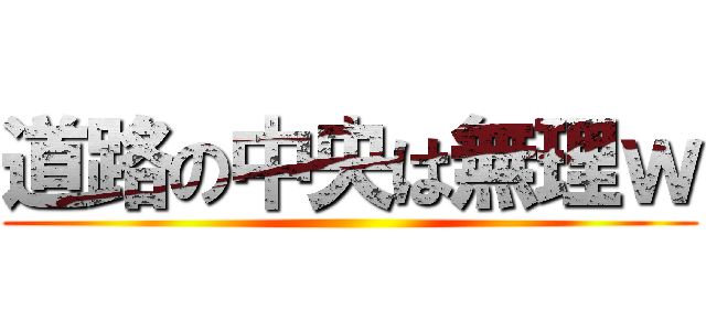 道路の中央は無理ｗ ()