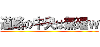 道路の中央は無理ｗ ()
