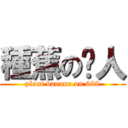 種蕉の柒人 (plant banana on 689)