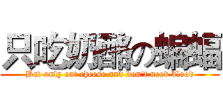只吃奶酪の蝙蝠 (Bat only eat cheese and don't need blood)