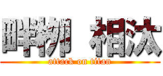 畔栁 相汰 (attack on titan)