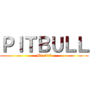 ＰＩＴＢＵＬＬ (Mr.305)