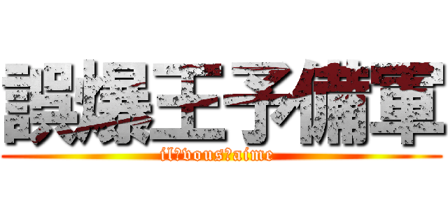 誤爆王予備軍 (il　vous　aime )