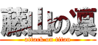 藤山の凜 (attack on titan)