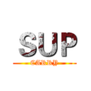 ＳＵＰ (CARRY)