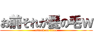 お前それが髪の毛ｗ (attack on titan)