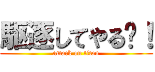 駆逐してやる‼！ (attack on titan)