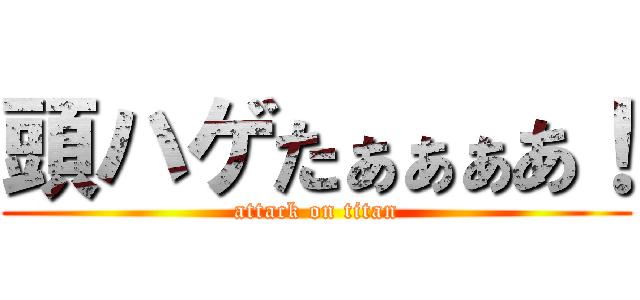 頭ハゲたぁぁぁあ！ (attack on titan)