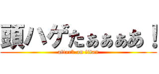 頭ハゲたぁぁぁあ！ (attack on titan)