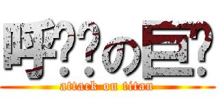 呼嚕嚕の巨貓 (attack on titan)