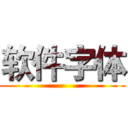 软件字体 ()