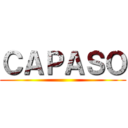 ＣＡＰＡＳＯ (  )