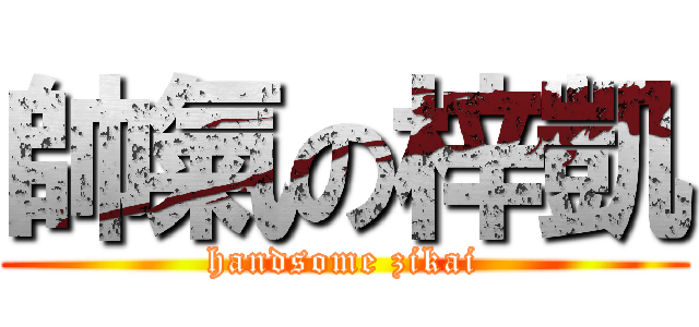 帥氣の梓凱 (handsome zikai)