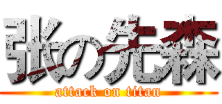 张の先森 (attack on titan)
